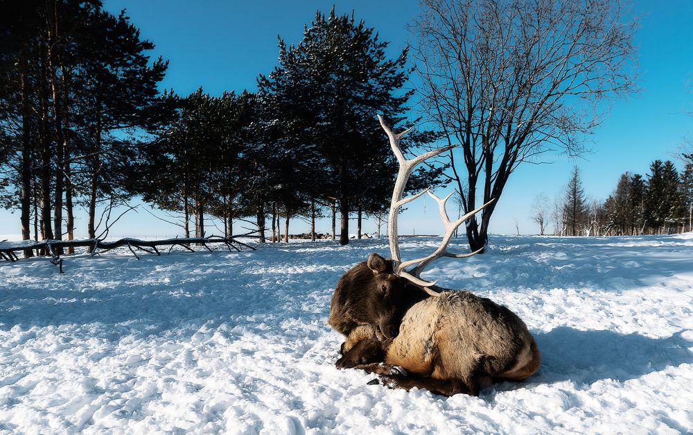 Photograph by Сергей Скоробогатов