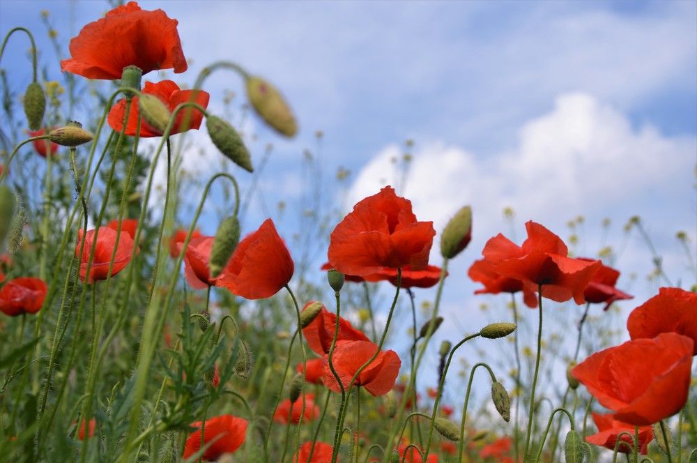 Photograph by Татьяна Василенко