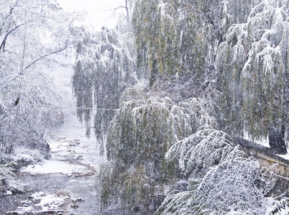 Photograph by Шубина Галина