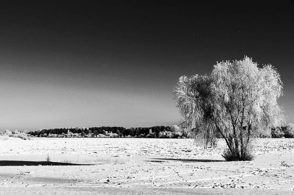 Один в поле воин..