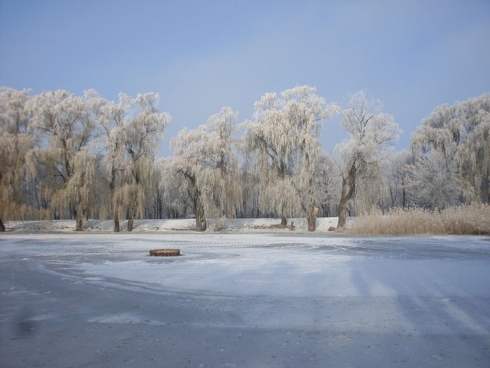 Photograph by Dmitro Vegan