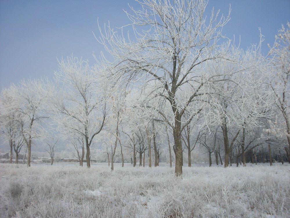 Photograph by Dmitro Vegan