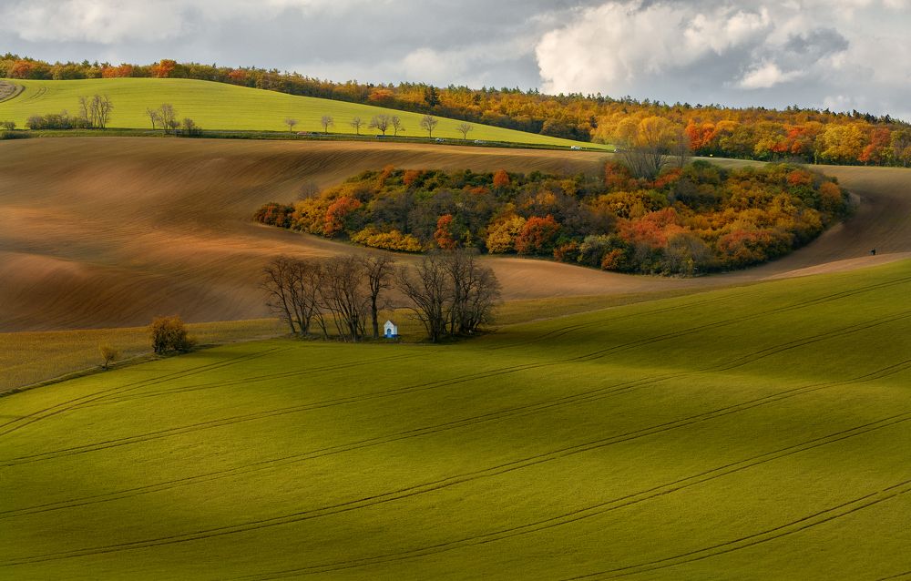 Моравские просторы