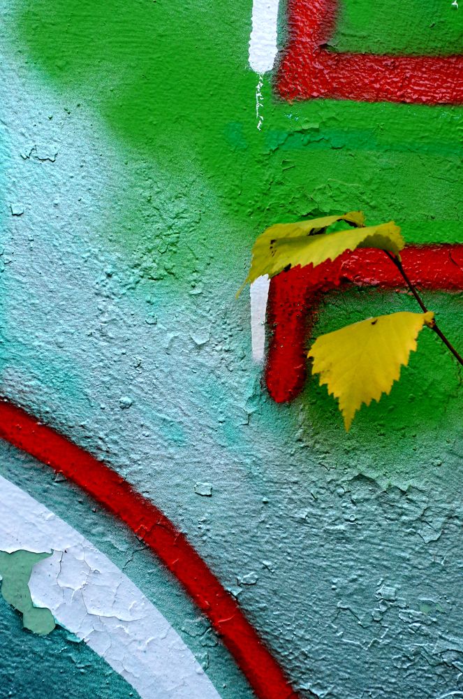 Photograph by игорь