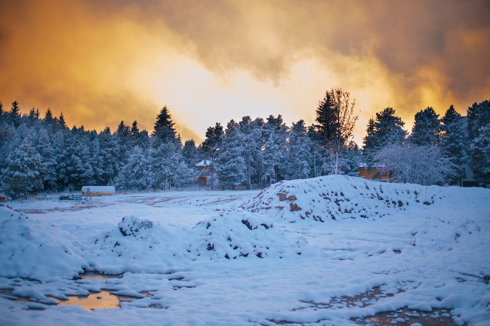 Photograph by Olga Costa