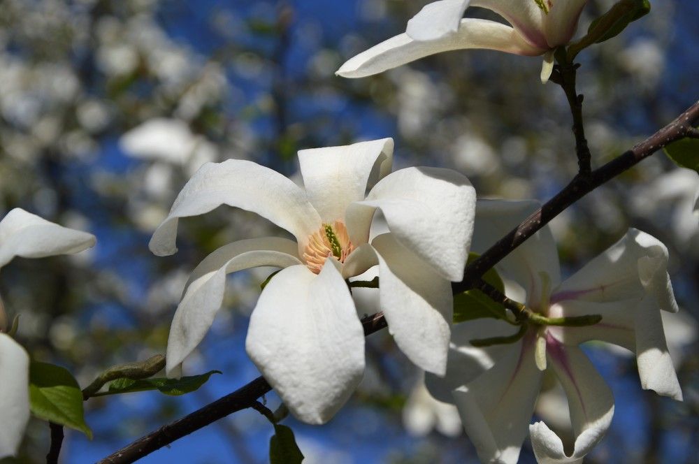 Photograph by Татьяна Василенко