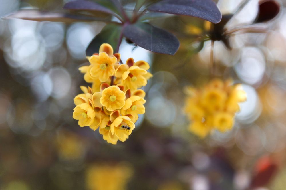 Photograph by Ольга