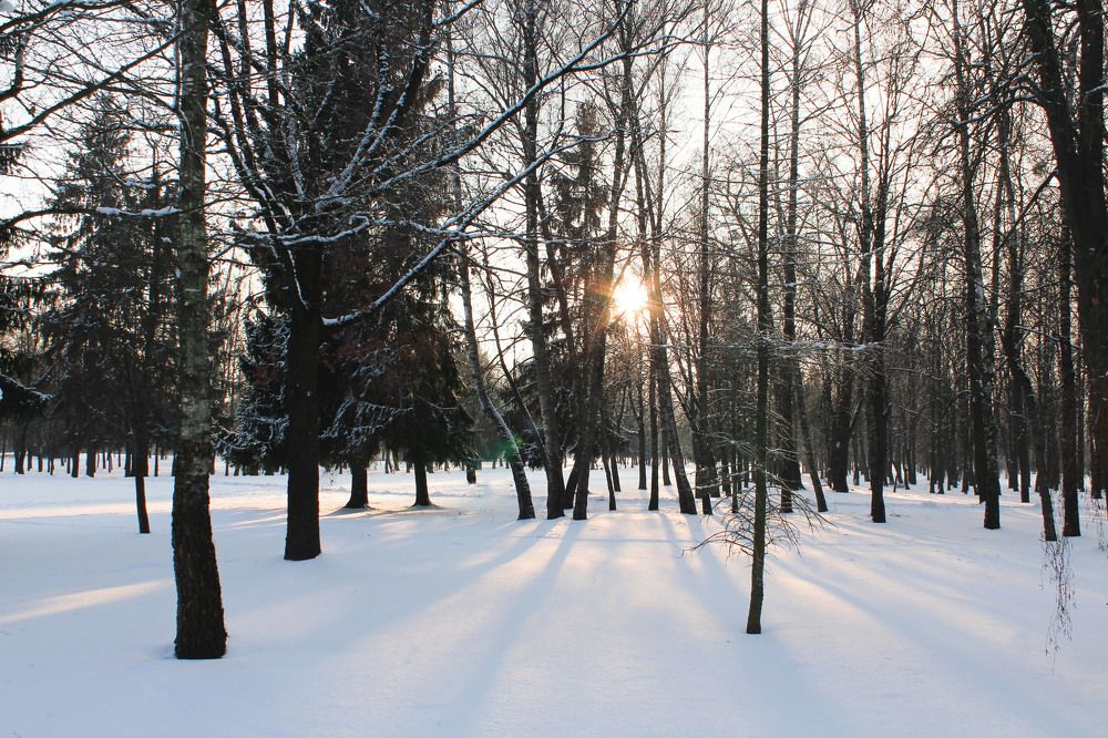 Photograph by Ольга