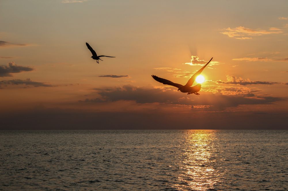 Photograph by Anastasia