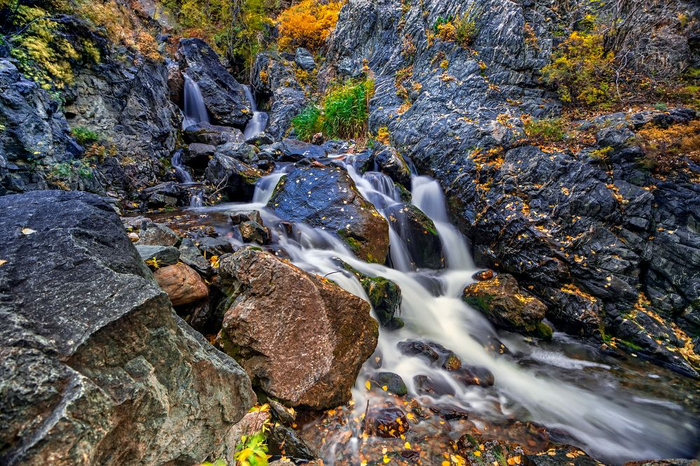 осенний натюрморт