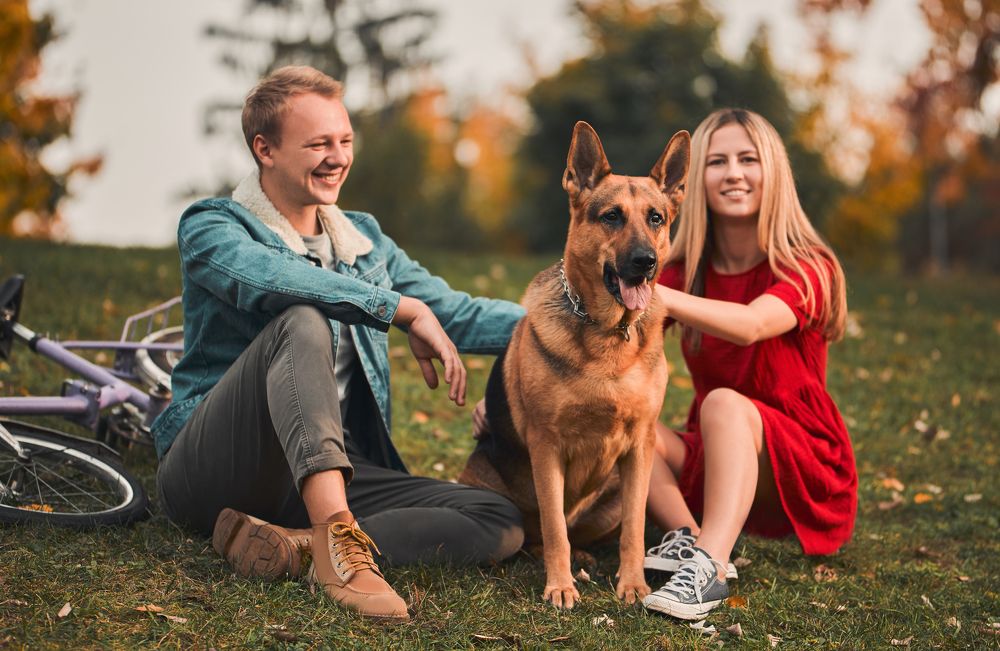 Молодая семья