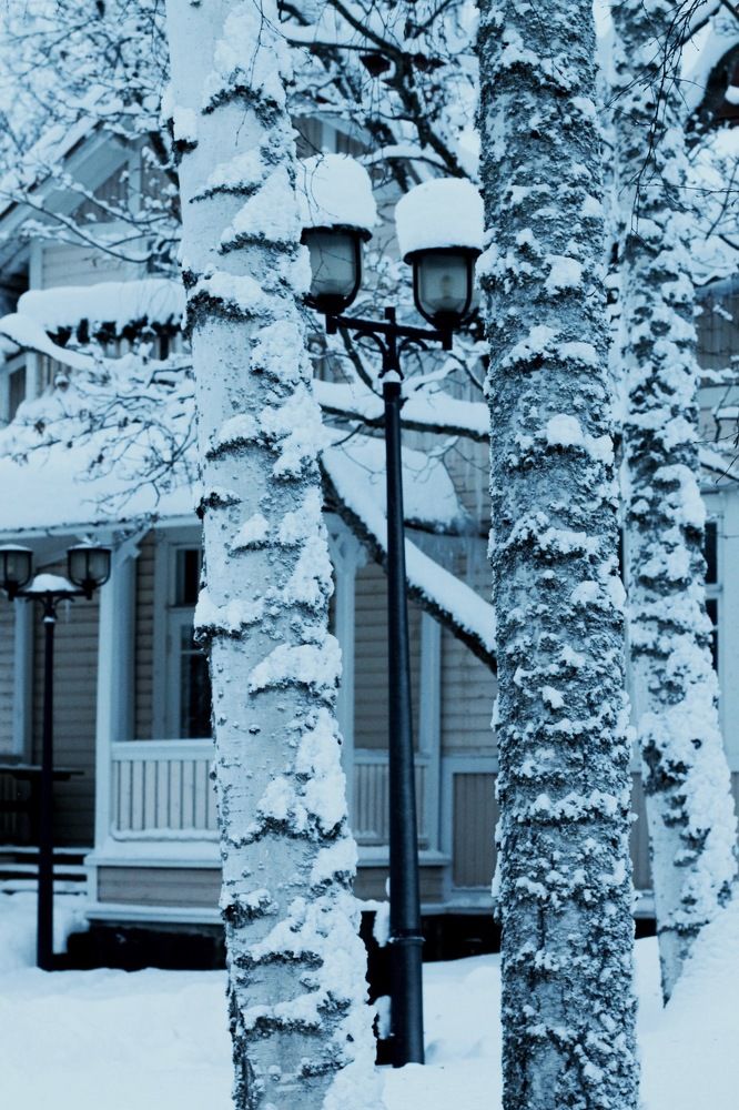 Winter.Finland