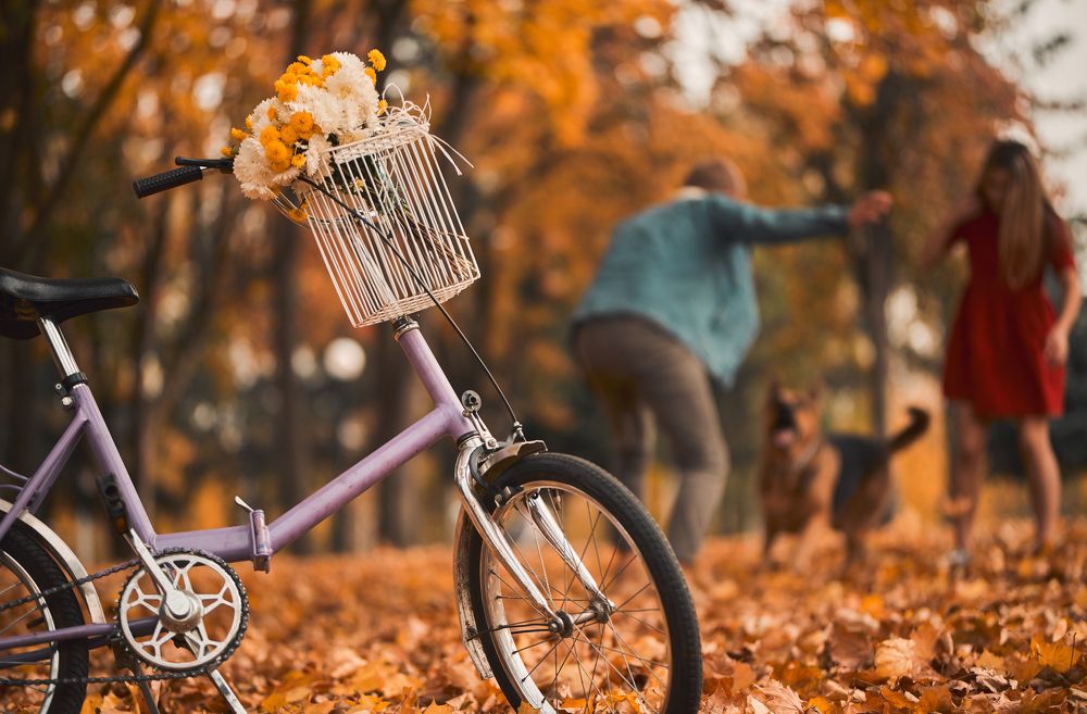 Счастье в любви