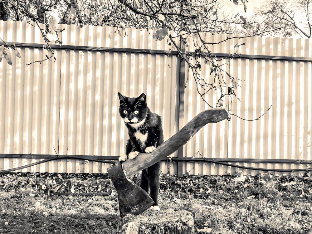 Терпение не безгранично ( patience is not unlimited