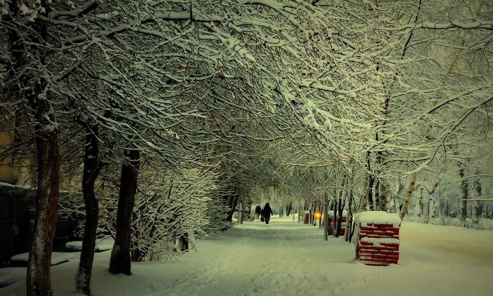 Снежное утро