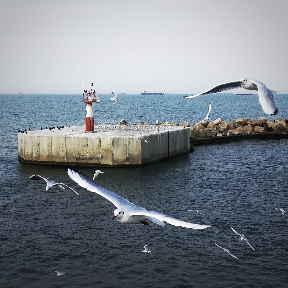 Photograph by Денис