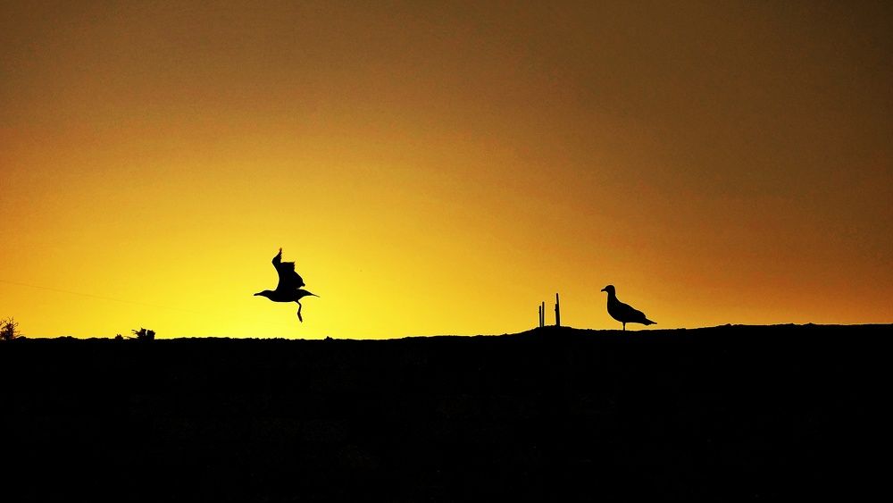 Photograph by Денис