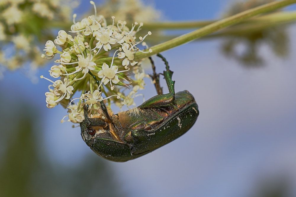 Photograph by Владимир Малевич