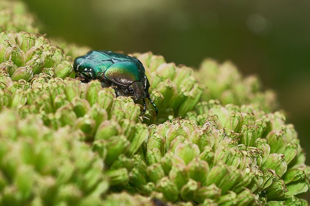 Photograph by Владимир Малевич
