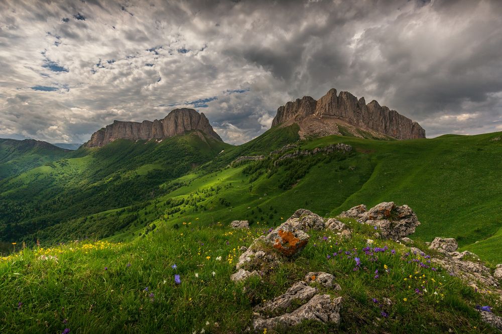 В ожидании дождя
