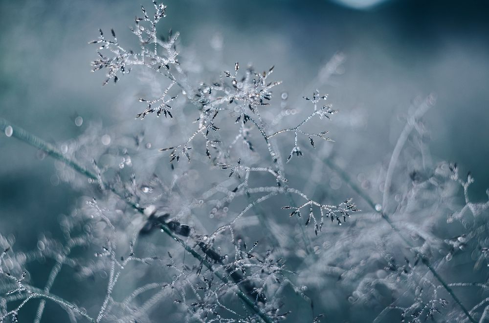 Хрустальный мир