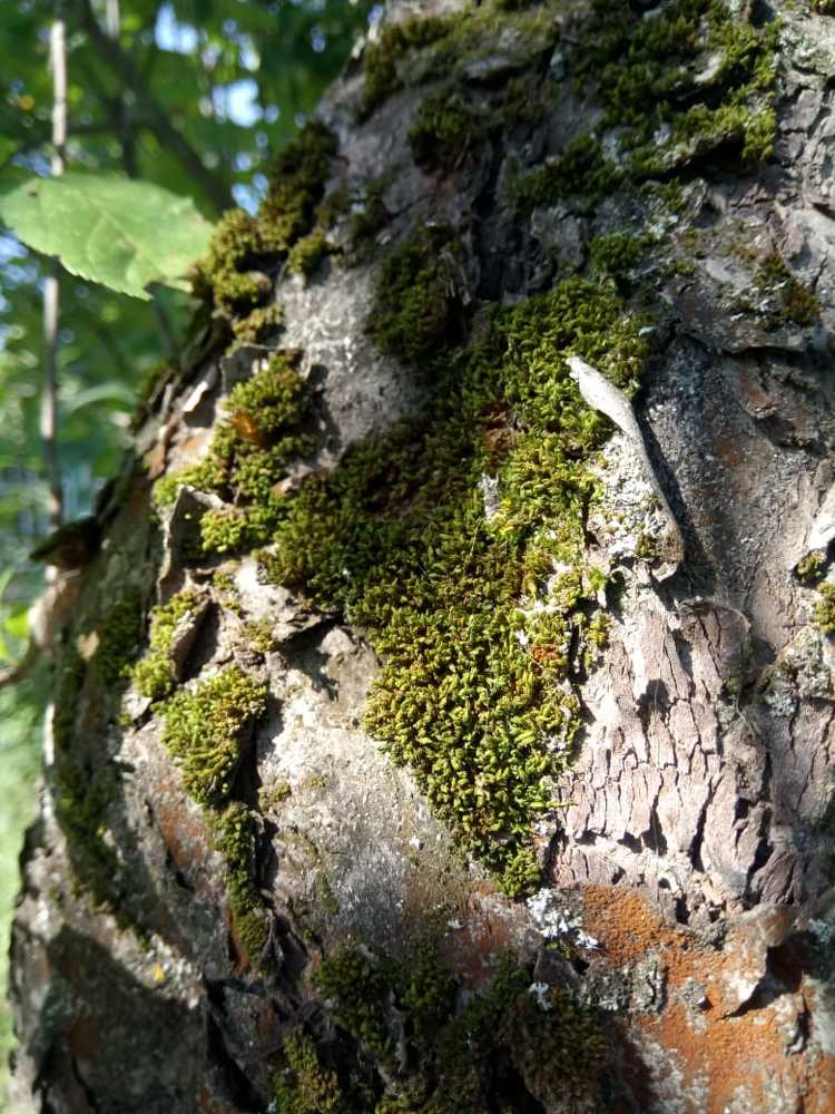 Сказка рядом