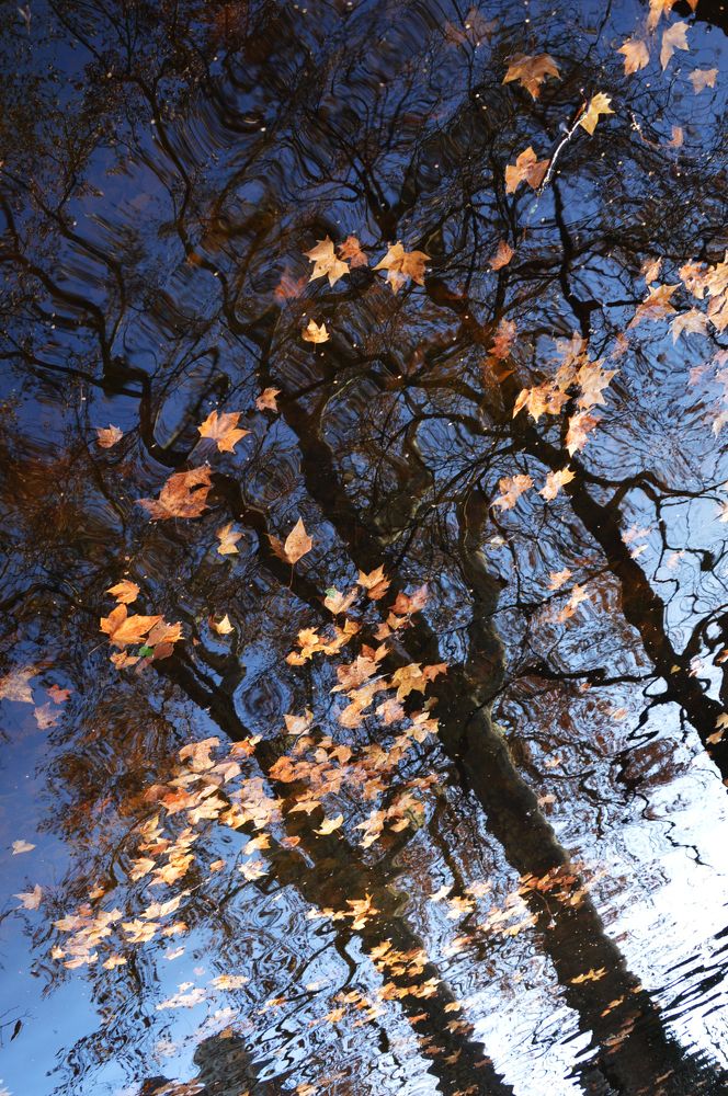 Иллюзия осени.