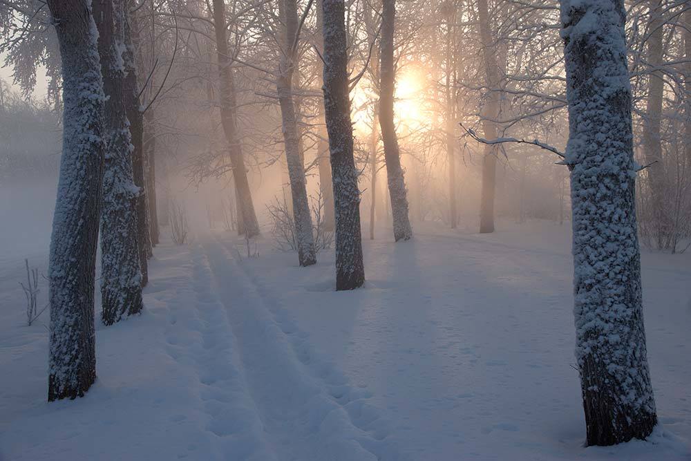 Зимняя туманность