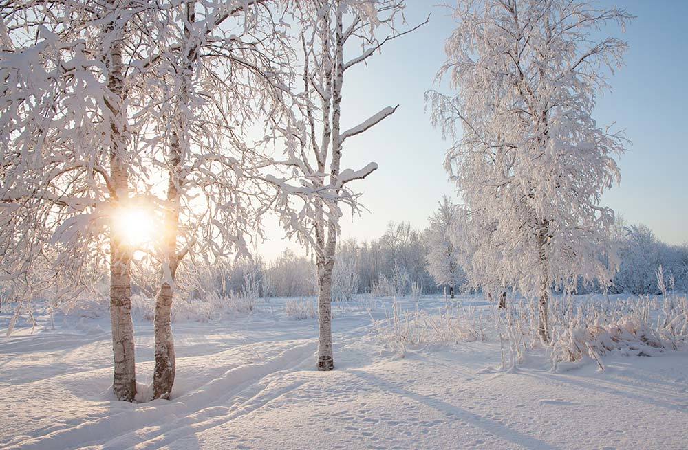 Сияющий день