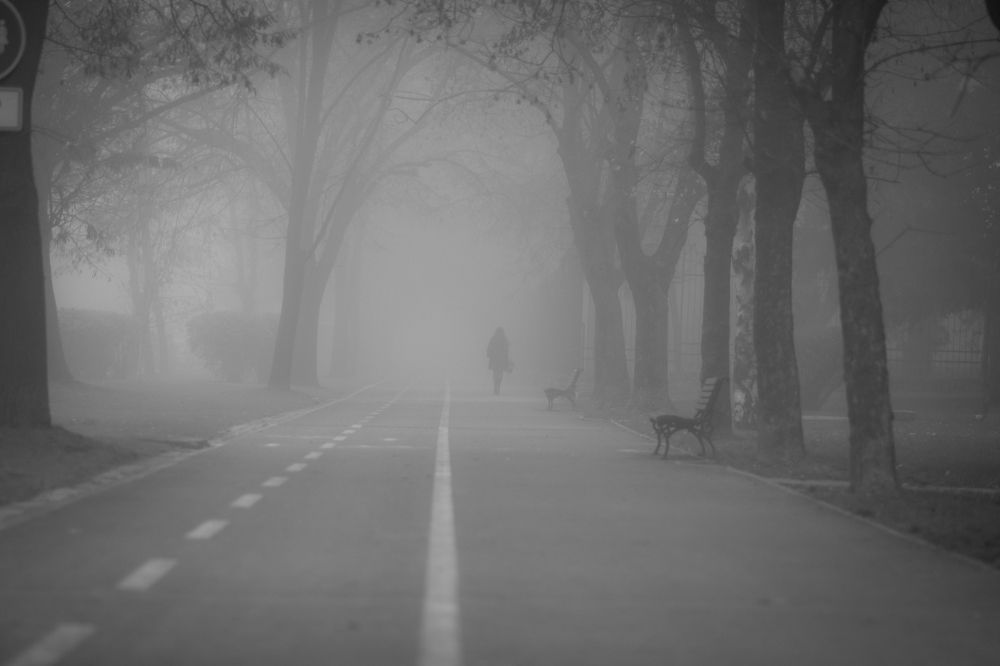 It's a foggy fog world