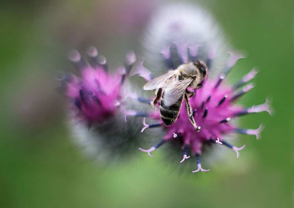 Трудовые будни