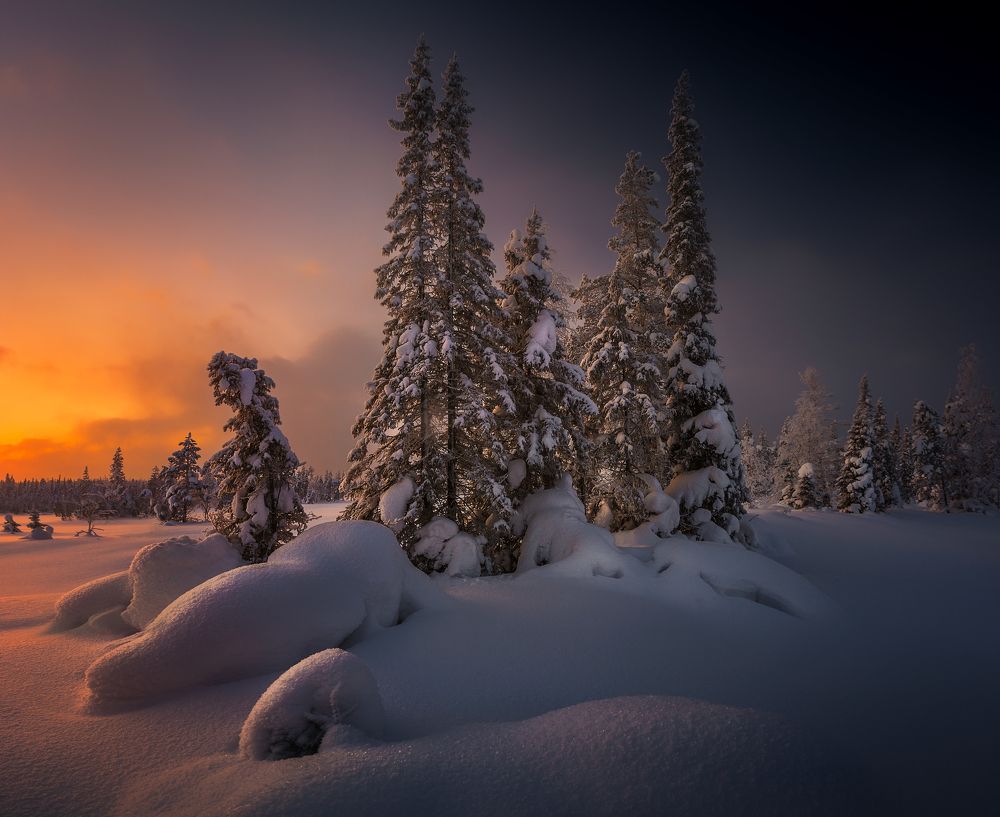 Зимняя сказка