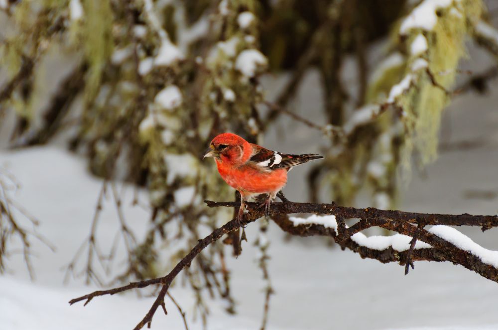 Photograph by Михаил Агульник