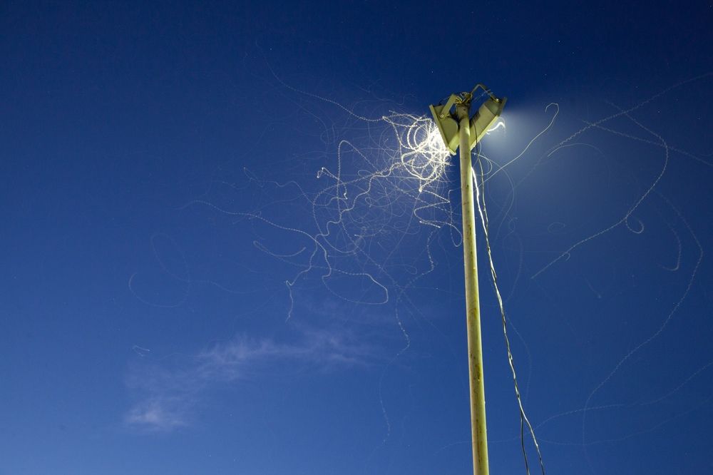 Мимолетный свет