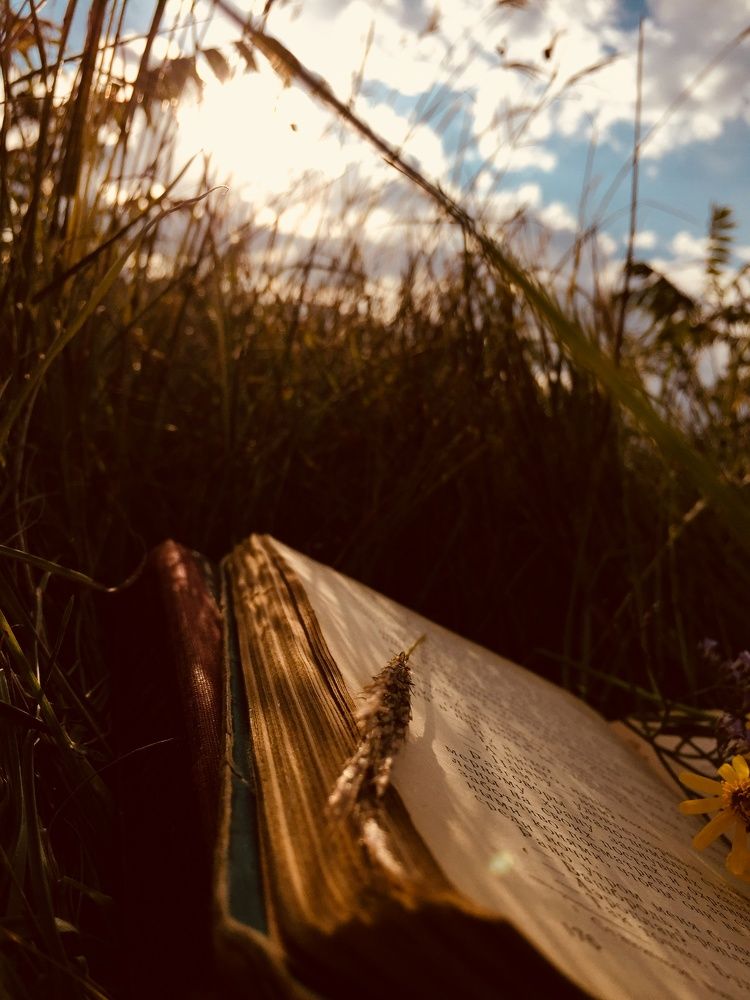 Книга