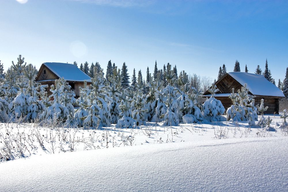 Домик в Лесу