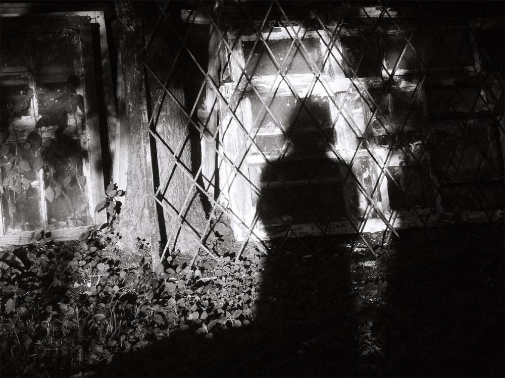 Тень. Таллинн