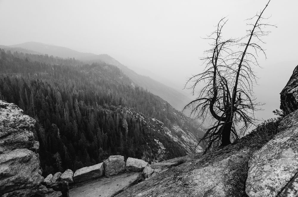 on the peak  of a mountain