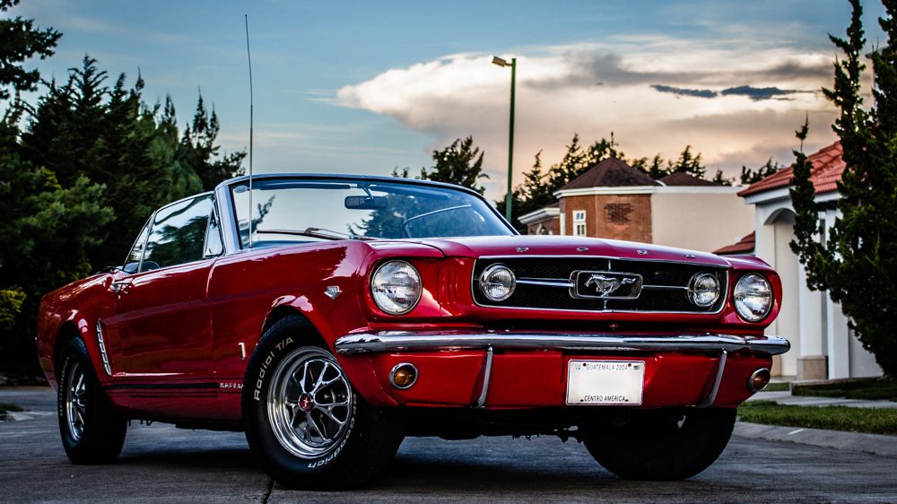 Mustang 65' in the afternoon