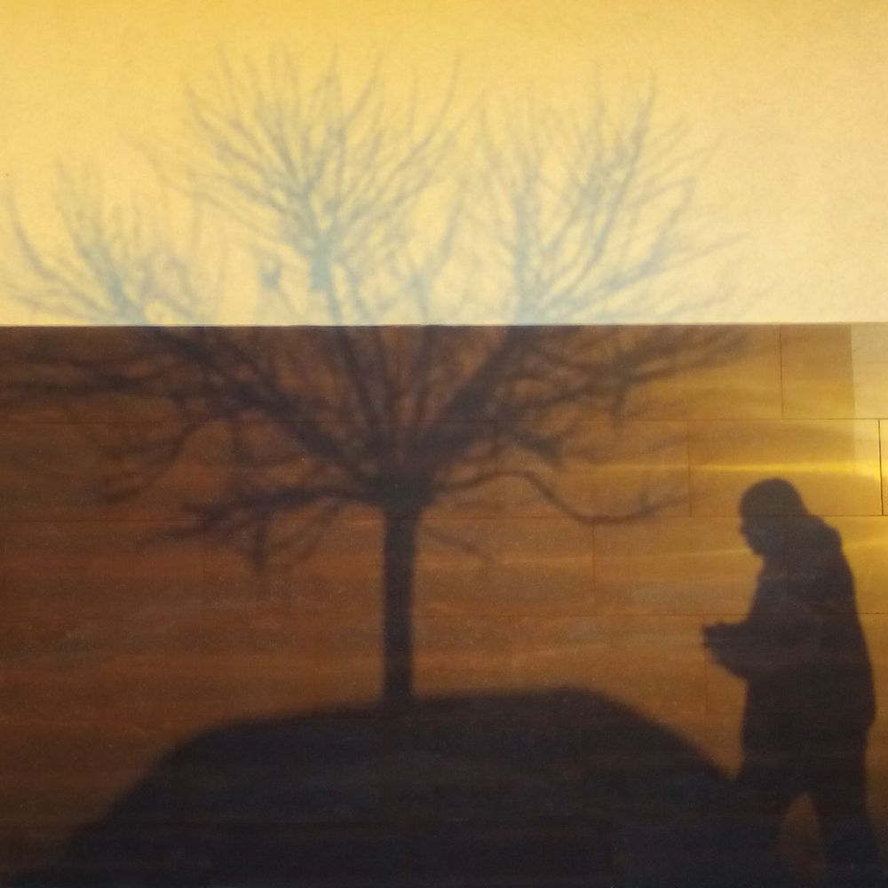 Photograph by DzjuSan