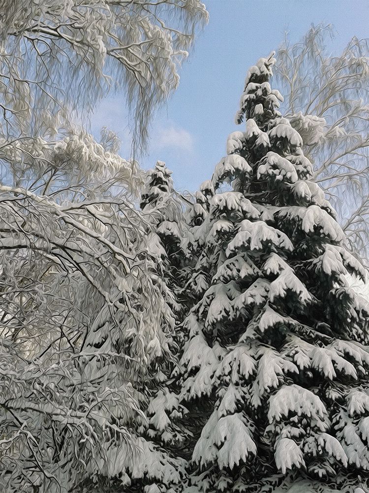 Красавица зима