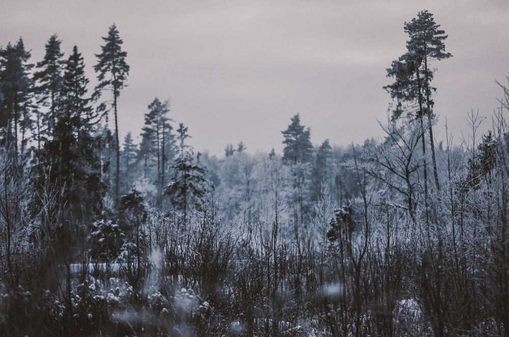 Замёрзшее Мгновение