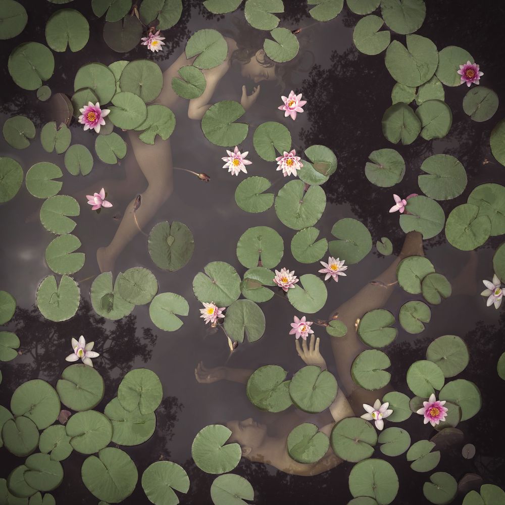 Reflections of humanity 1