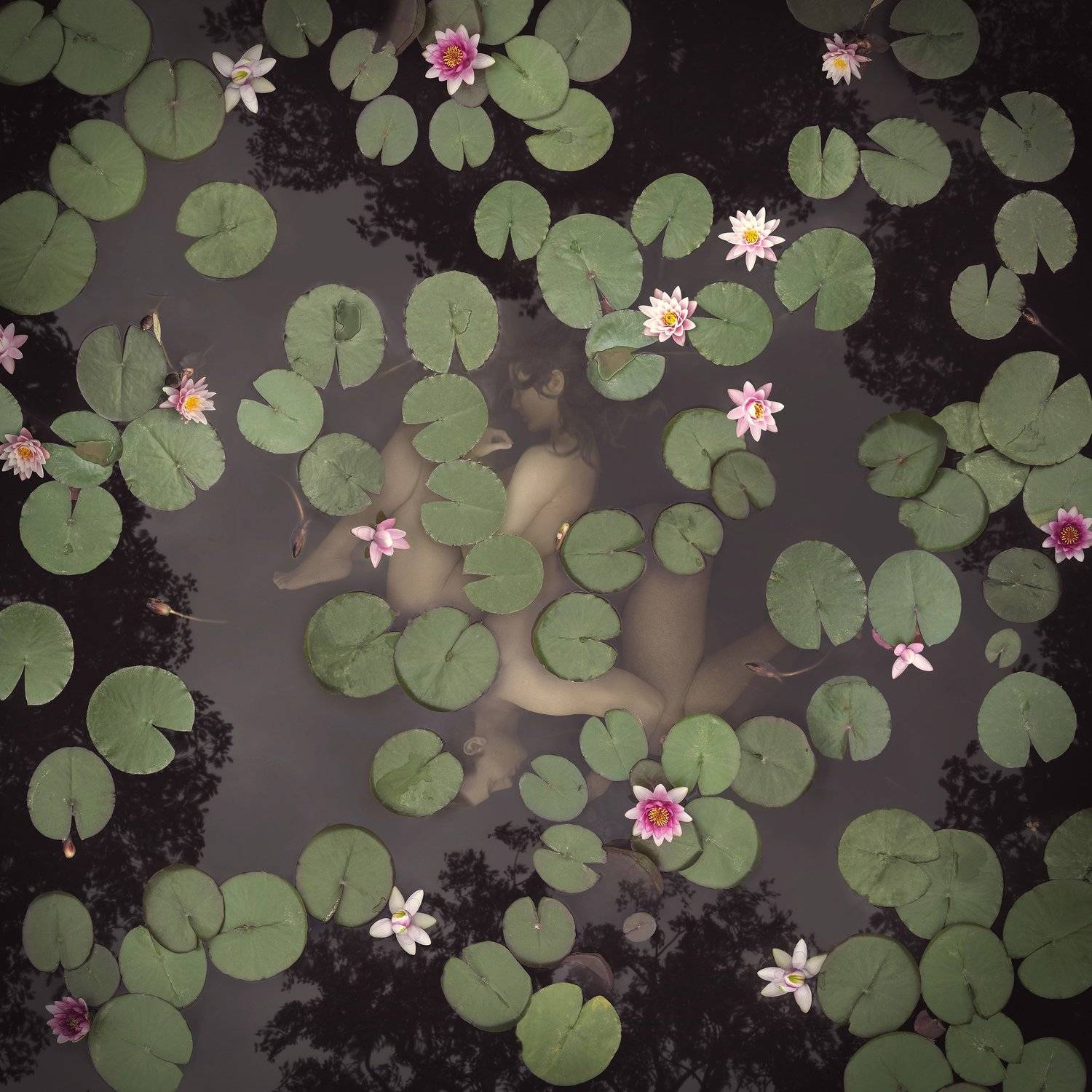 Reflections of humanity 3