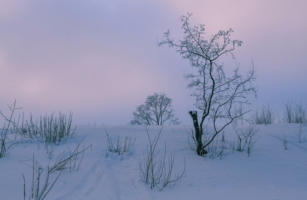 Зимний этюд