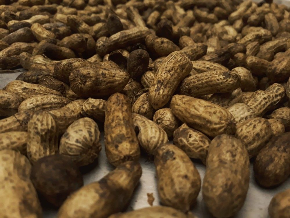 Фотография автора Degypte Rea