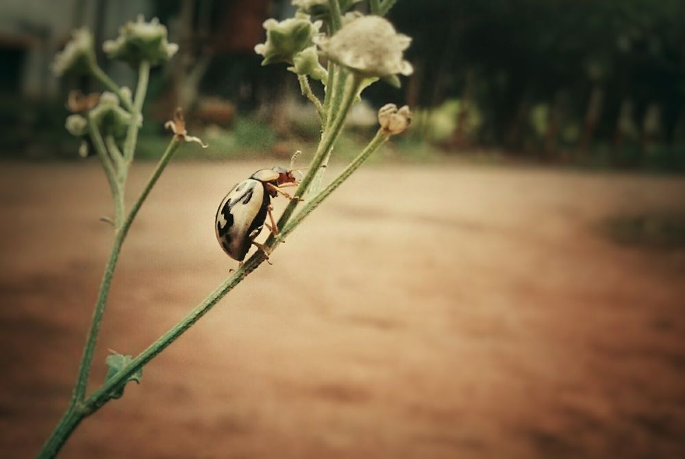 Create your own way to change anything