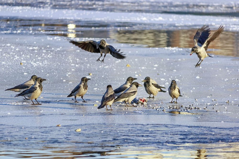 Photograph by Сергей Шаповалов