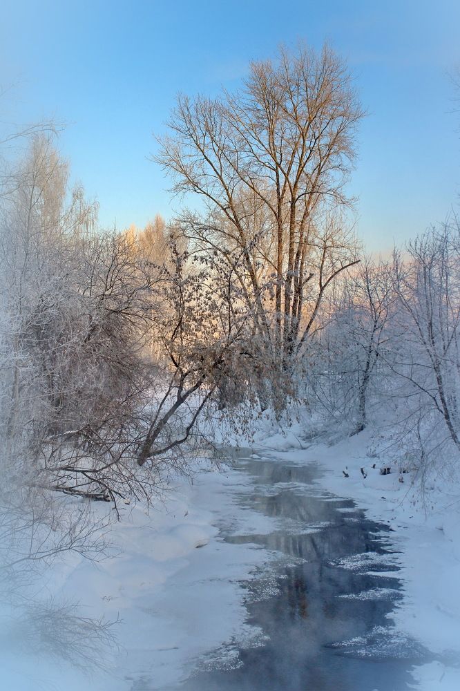 Photograph by Сергей Шаповалов