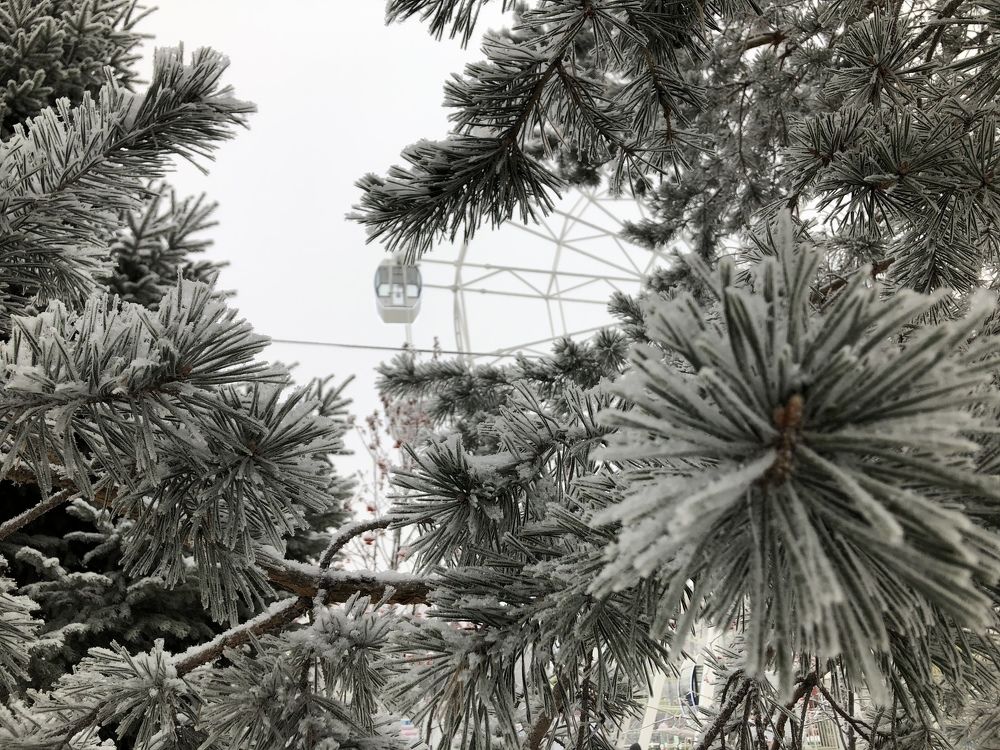 Until the summer of one hundred and twenty-five days